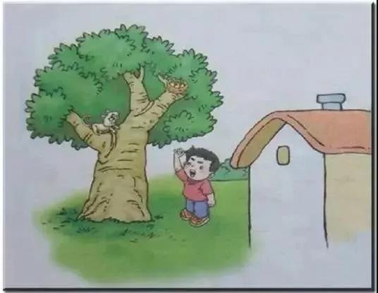 小学低年级看图写话引导,附范文!