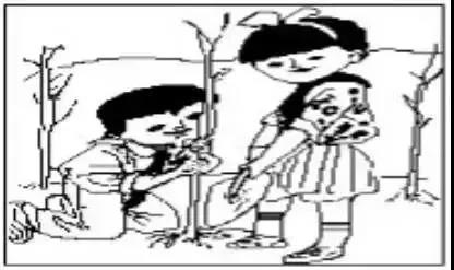 小学低年级看图写话引导,附范文!