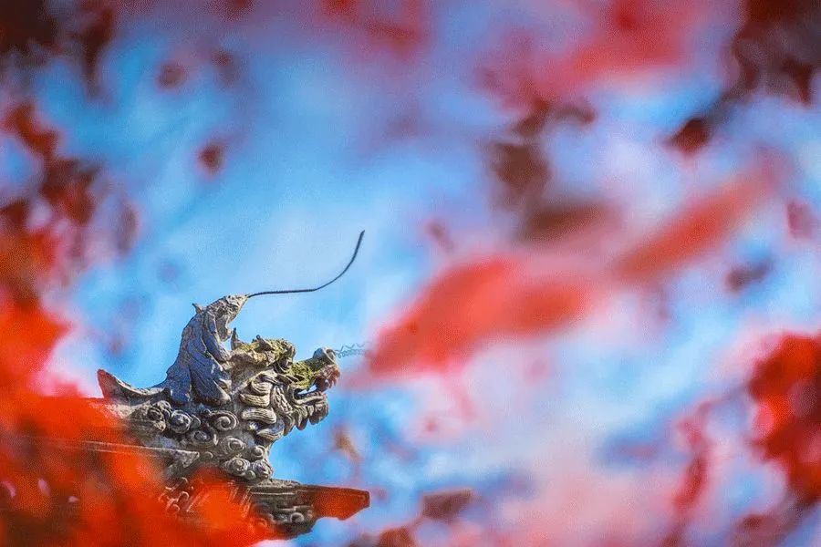 �����¶�����̧ͷ��������