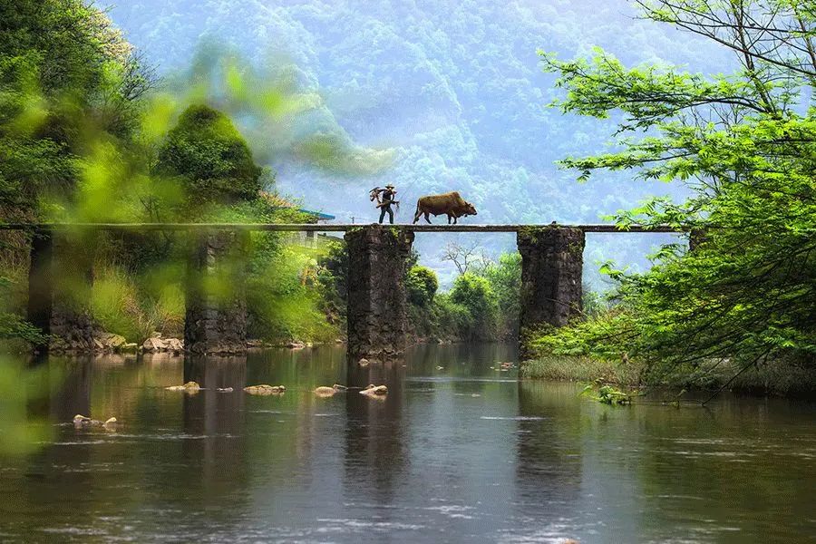 �����¶�����̧ͷ��������