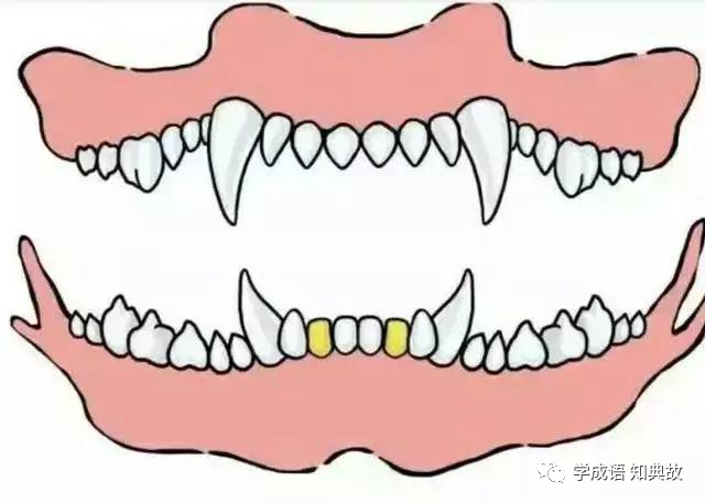 Ȯ�������ĵ��