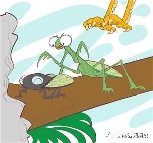 螳螂捕蝉的成语故事